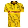 Oficiální Fotbalový Dres Borussia Dortmund Cup 2023-24 pro Muži